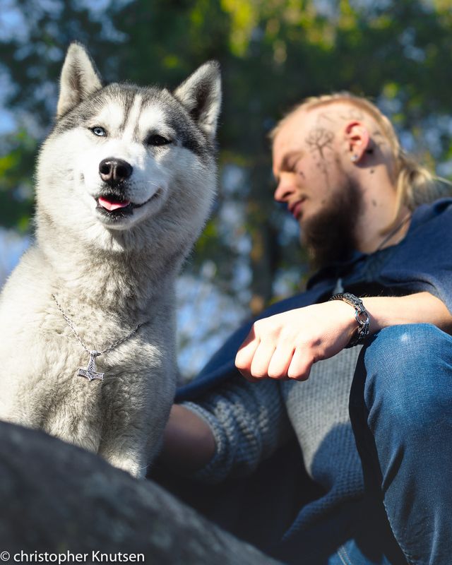 Fåvne - Lærarmbånd